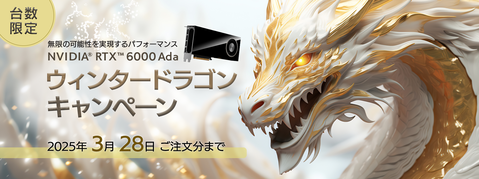 NVIDIA RTX 6000Ada ウインターキャンペーン